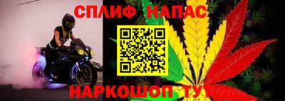 гидра Гусев